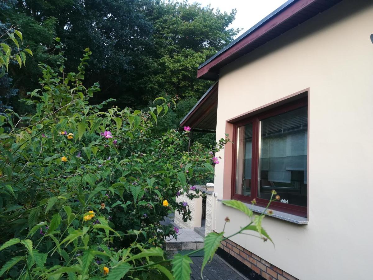 Ferienhaus am Wald Loissin Exterior foto